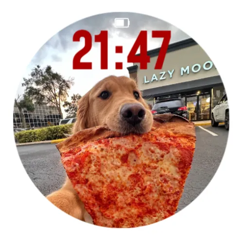 The dog eating pizza