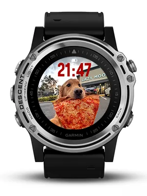 The dog eating pizza · 스크린샷 0