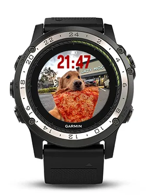 The dog eating pizza · 스크린샷 2