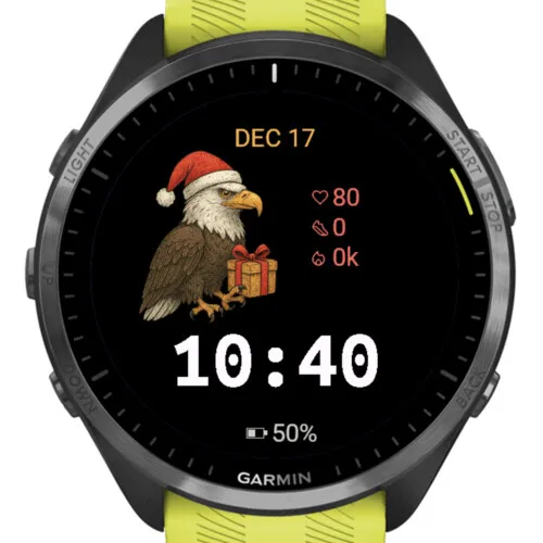 Christmas Eagle Gift · 螢幕截圖 2