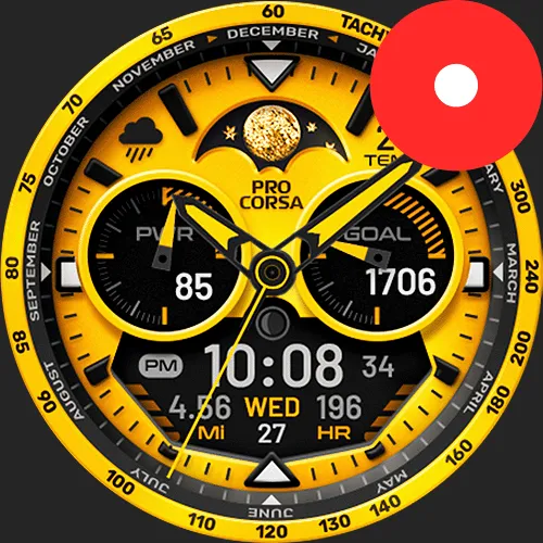 PRO CORSA Big Data