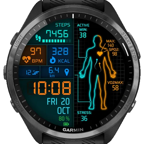 TheBodyMetrics
