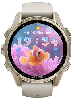 Coral Fish