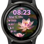 Lotus Serenity · Zrzut ekranu 0