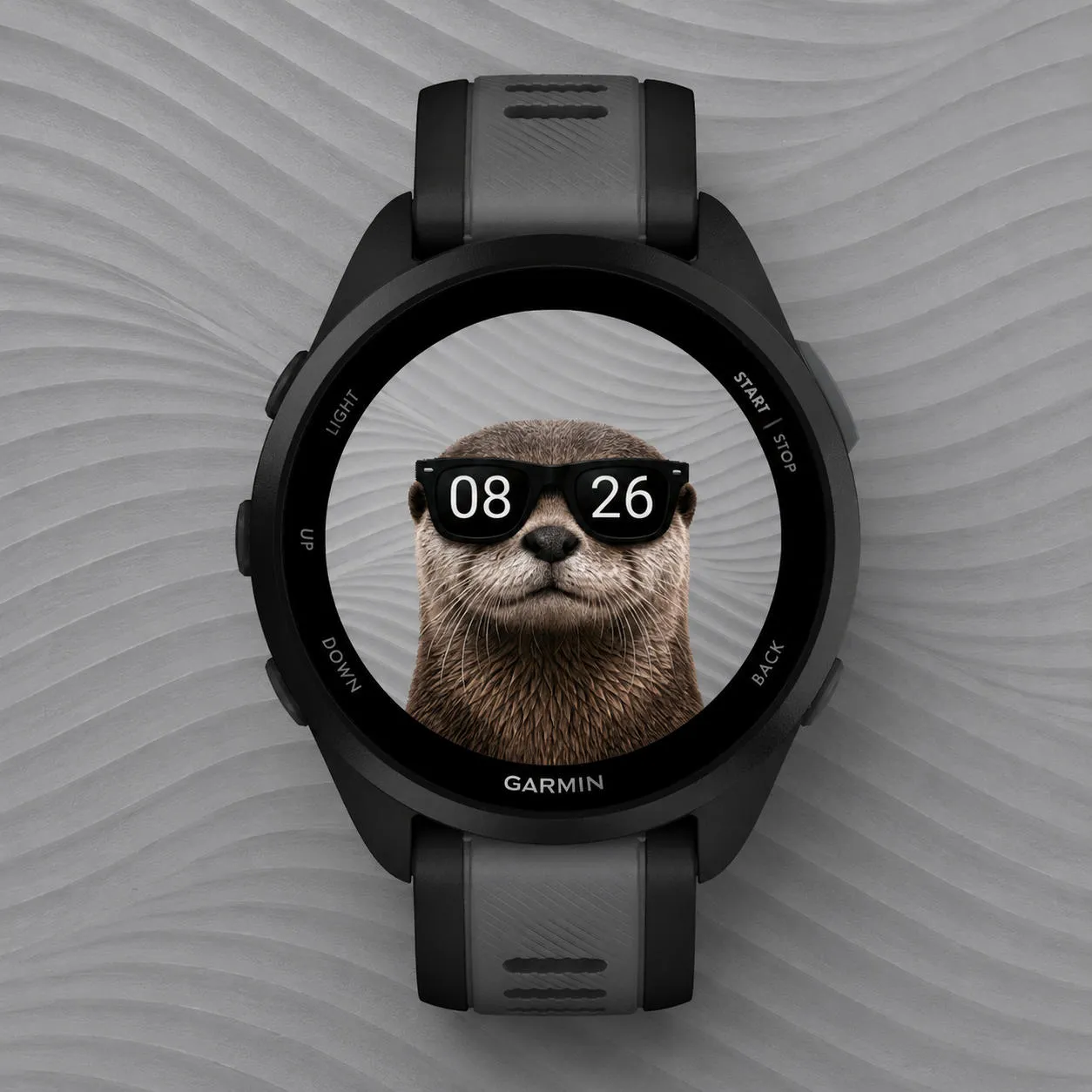 Cool Otter · Screenshot 1
