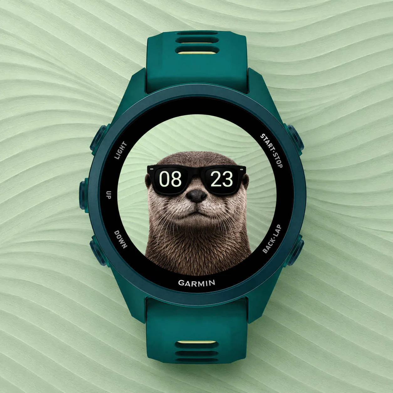 Cool Otter · Screenshot 2
