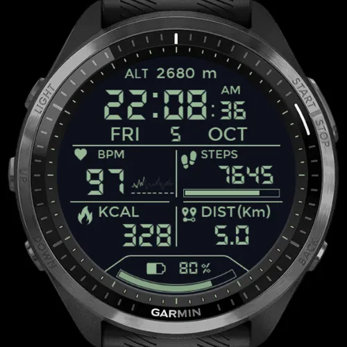 Ranger HUD