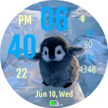 Cute penguin