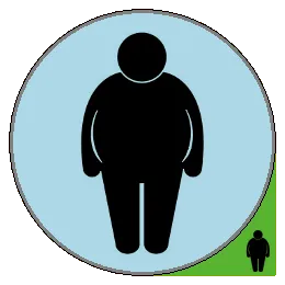 Fat Burner