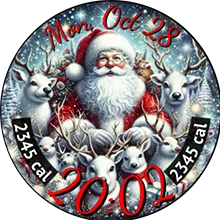 Santa Claus Xmas 12 Pictures