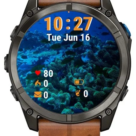 Fish Swimming Over Coral · ภาพหน้าจอ 1