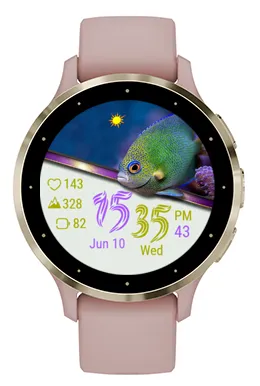 Fairy Fish · 스크린샷 0