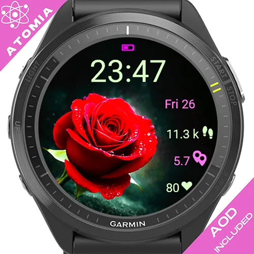 Valentine Rose Eclipse G