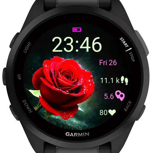 Valentine Rose Eclipse G · Screenshot 0