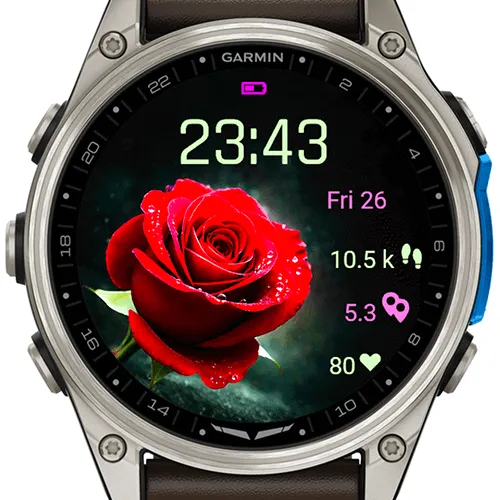 Valentine Rose Eclipse G · Screenshot 2