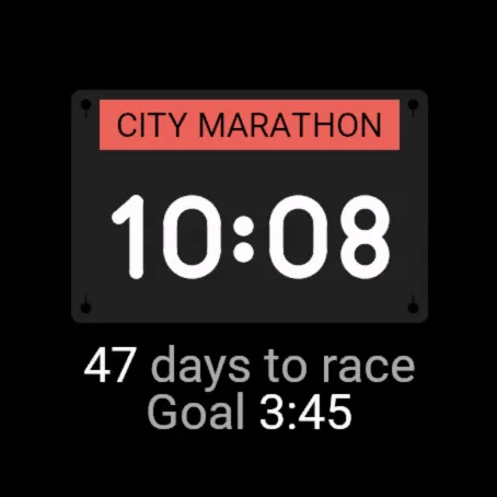 Race Bib · Snimka zaslona 0