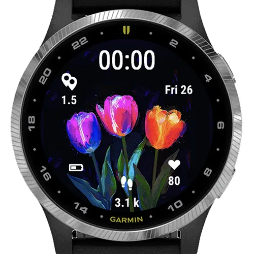 Abstract Tulip Flowers G · 截图 2