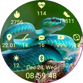 Snake01