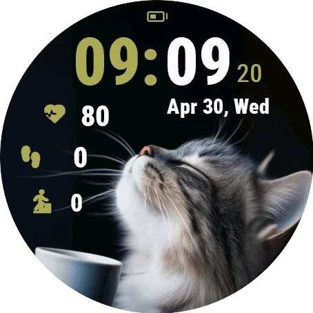 Sleepy Cat