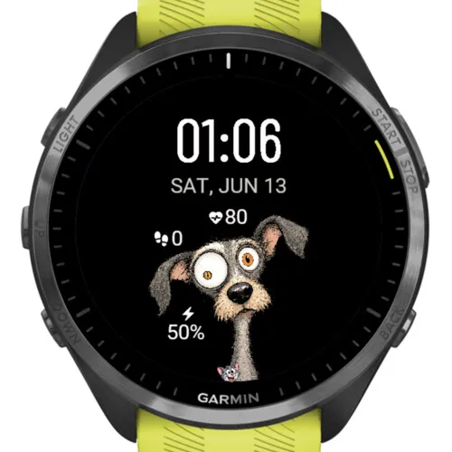 Dog · 截图 2