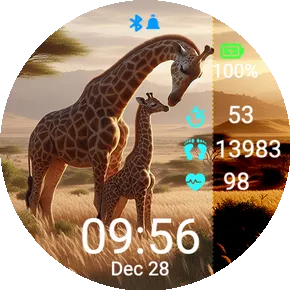 Giraffe