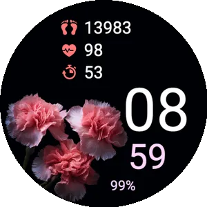 Night Rose