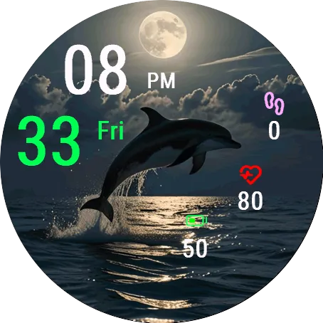 Moonlit Dolphin