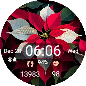 Christmas Flower