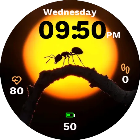 Twilight Ant