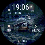 Moonlit Turtle