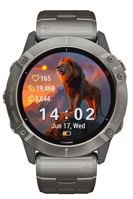 Lion Summit · צילום מסך 0