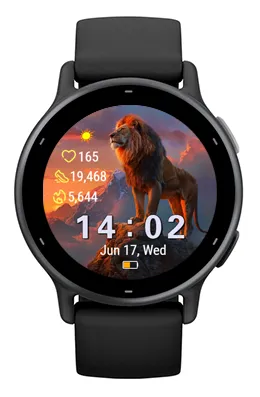 Lion Summit · צילום מסך 1