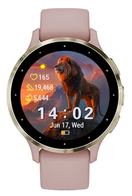 Lion Summit · צילום מסך 2