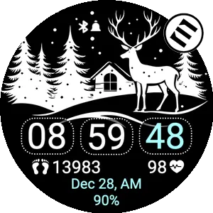 Winter Night