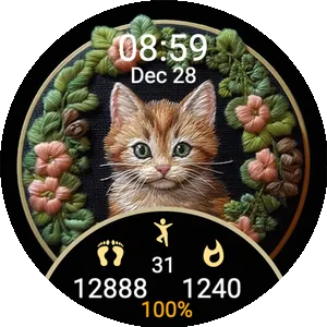 Little Cat