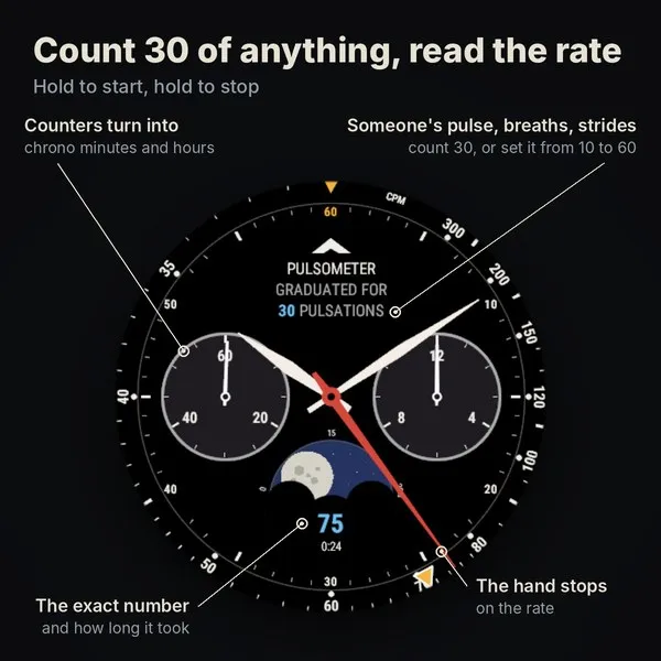True Chronograph Pulse · Tangkapan layar 0