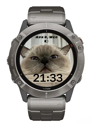 Cat · Στιγμιότυπο 0