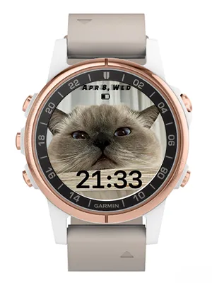 Cat · Στιγμιότυπο 2