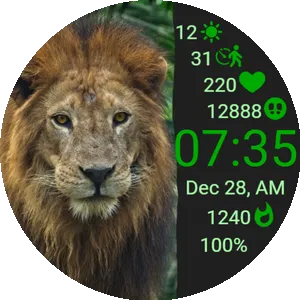 Lion In Flow