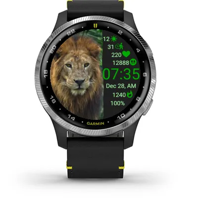 Lion In Flow · スクリーンショット 1