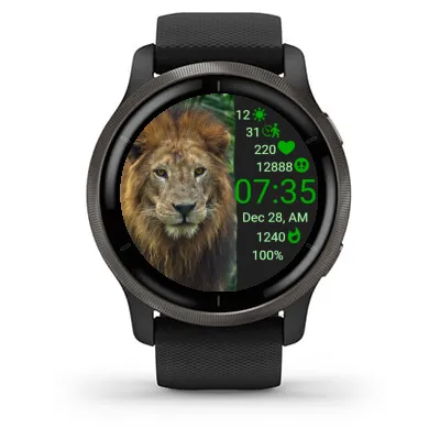 Lion In Flow · スクリーンショット 2