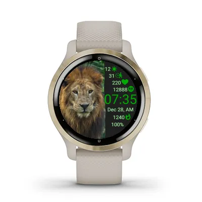 Lion In Flow · スクリーンショット 3