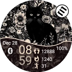 Black Cat In