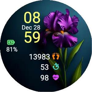 Iris Bloom – Flower Nature