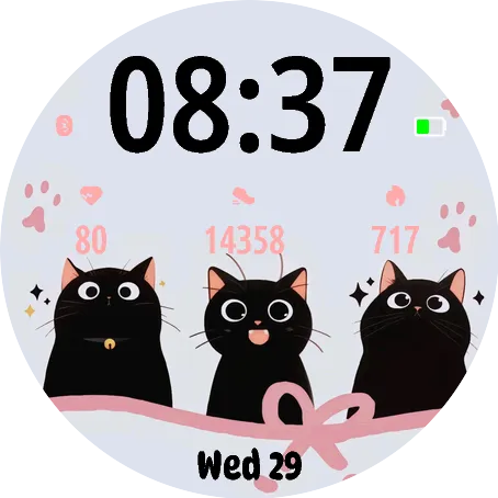 Black cute cat