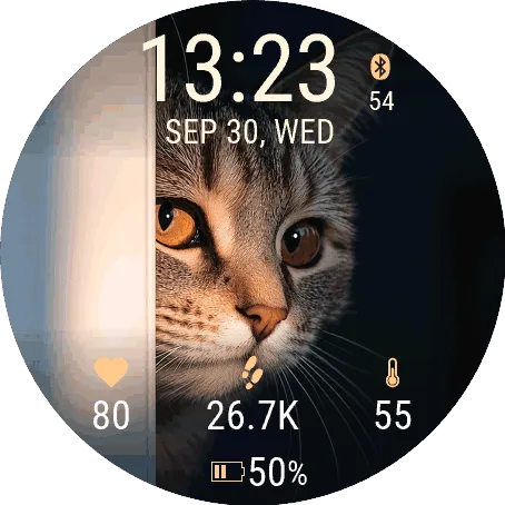 Cat Peek