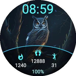 Owl D2