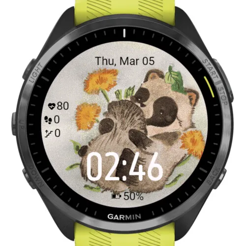 Panda Flower Dream · 截图 2