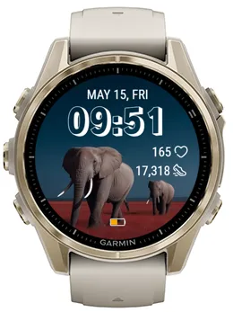 Gray Elephant · 螢幕截圖 0