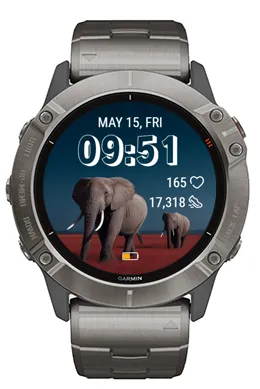 Gray Elephant · 螢幕截圖 1